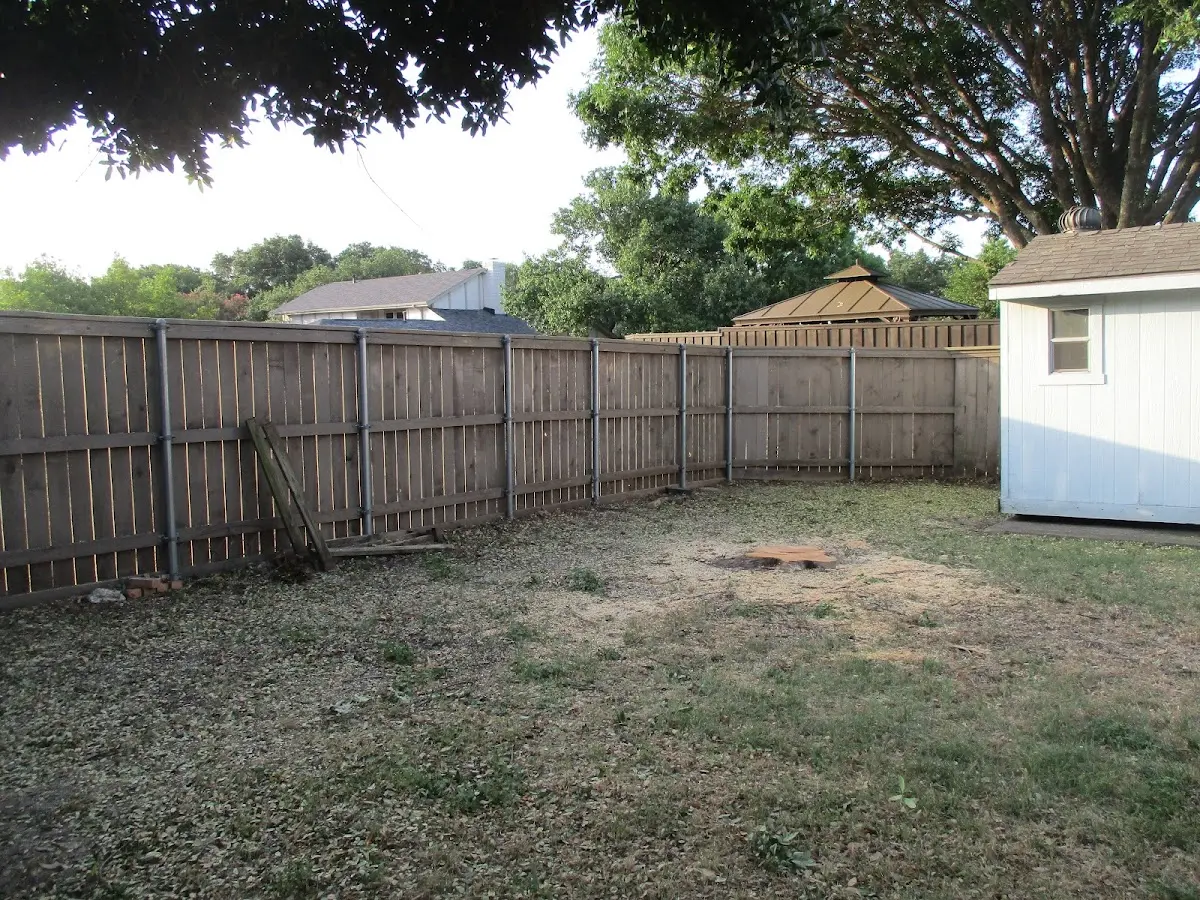 Cleared yard after professional tree removal in Cartersville